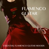 Flamenco Guitar artwork