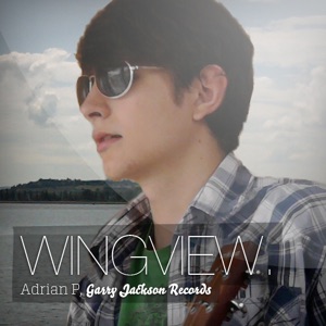 Wingview