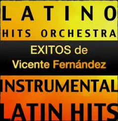 Éxitos de Vicente Fernández by Latino Hits Orchestra album reviews, ratings, credits