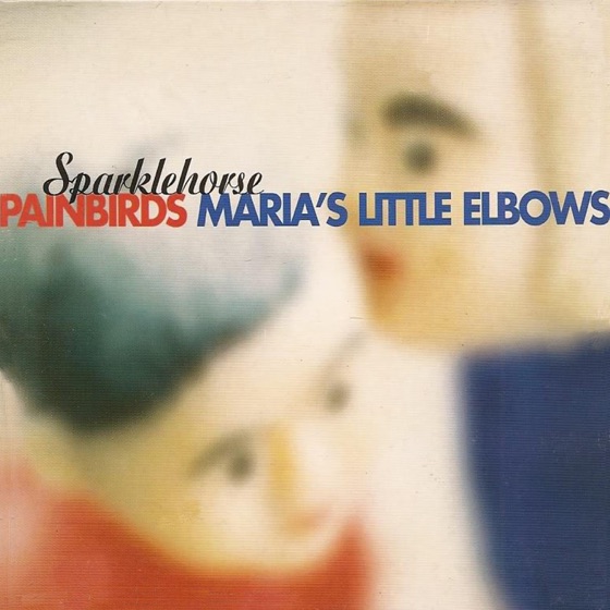 Cover artwork for Painbirds