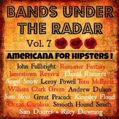 Bands Under the Radar, Vol. 7: Americana for Hipsters I by Various Artists album reviews, ratings, credits