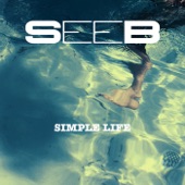 Simple Life artwork