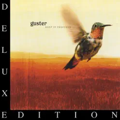 Keep It Together (10 Year Anniversary Edition) - Guster