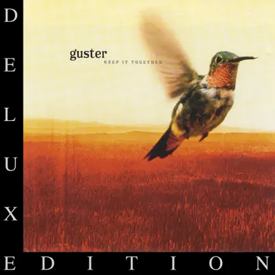 Keep It Together (10 Year Anniversary Edition) - Guster