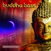 Buddha Bass, 2013