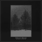 Ethereal Shroud - Desperation Hymn