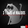 3 Years of Maloos (part 2)