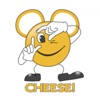 Cheese - Single