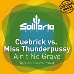 Ain't No Grave (Cuebrick vs. Miss Thunderpussy) - Single by Cuebrick & Miss Thunderpussy album reviews, ratings, credits