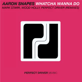 Whatcha Wanna Do by Aaron Snapes song reviws