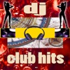 DJ Club Hits, Vol. 2