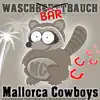 Stream & download Waschbärbauch - Single