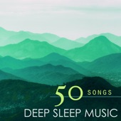 Deep Sleep Music: 50 Lullabies to Help You Relax, Meditate, Heal with Relaxing Piano Music, Nature Sounds and Natural Noise (feat. Shakuhachi Sakano) artwork