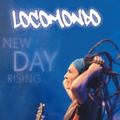 New Day Rising artwork