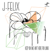 101 Reasons (El Train Remix) - J-Felix