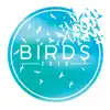 Birds 2016 - Single album lyrics, reviews, download