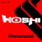 Phenomenal - Hoshi lyrics