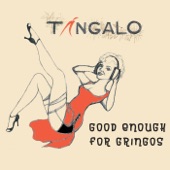 Good Enough for Gringos artwork