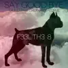 Say Good Bye - Single album lyrics, reviews, download