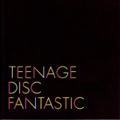 Teenage Disc Fantastic artwork