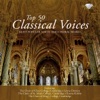National Choir Of The Ukraine "Dumka" - Liturgy of St. John Chrysostom, Op. 41: No. 6, Hymn of the Cherubim