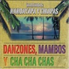 Danzones, Mambos Y Cha Cha Chas