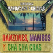 Danzones, Mambos Y Cha Cha Chas artwork