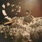 Levante (feat. Jorge Pardo) - Alberto Alcala lyrics