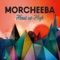 To the Grave - Morcheeba lyrics