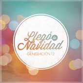 Llegó la Navidad artwork