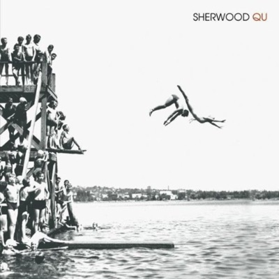 Hit the Bottom - Sherwood | Shazam