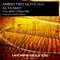 You Wont Stop Me (Dub Mix) [feat. Alta May] - Amind Two Guys lyrics
