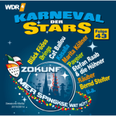 Karneval der Stars, Folge 43 - Verschiedene Interpreten