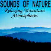 Chirping Birds on a Quiet Mountain - Pro Sound Effects Library