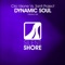 Dynamic Soul - Ciro Visone & Santi Project lyrics