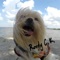Roody the Canine King - Tuk'r Hill lyrics