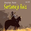 Sertanejo Raiz, Vol.43