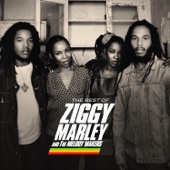 The Best of Ziggy Marley & the Melody Makers artwork