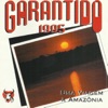 Garantido 95 - Uma Viagem a Amazônia