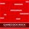 Gamecock Rock - Ricky Young lyrics