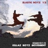 Elastic Boyz 12, 2015