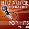 Karaoke Pop Hits - Backing Tracks for Singers, Vol. 40