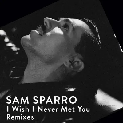 I Wish I Never Met You (Remixes) - EP - Sam Sparro