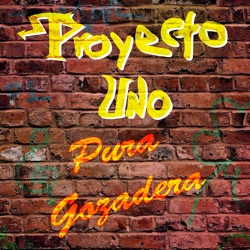 Proyecto Uno - Fiebre