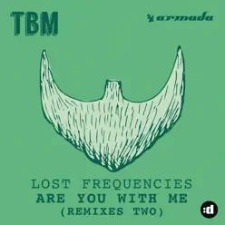 Are You with Me, Vol. 2 (Remixes Two) - Lost Frequencies