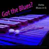 Got the Blues? (Delta Blues in the Key of G) [for Vibraphone, Marimba, And Vibes Players] - Single album lyrics, reviews, download