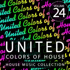 United Colors of House, Vol. 24 by Various Artists album reviews, ratings, credits