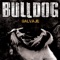 Apocalipsis - Bulldog lyrics