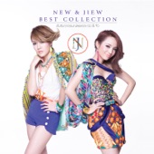 New & Jiew Best Collection artwork