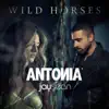 Wild Horses (feat. Jay Sean) - Single album lyrics, reviews, download